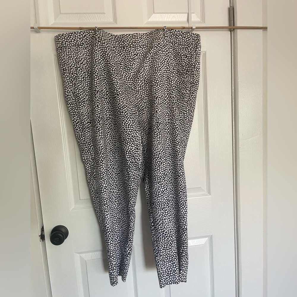 Lane Bryant Modernist Collection 22